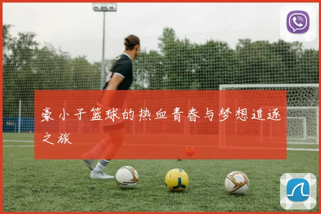 豪小子篮球的热血青春与梦想追逐之旅