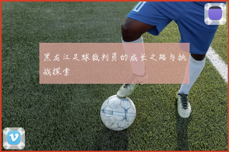 黑龙江足球裁判员的成长之路与挑战探索