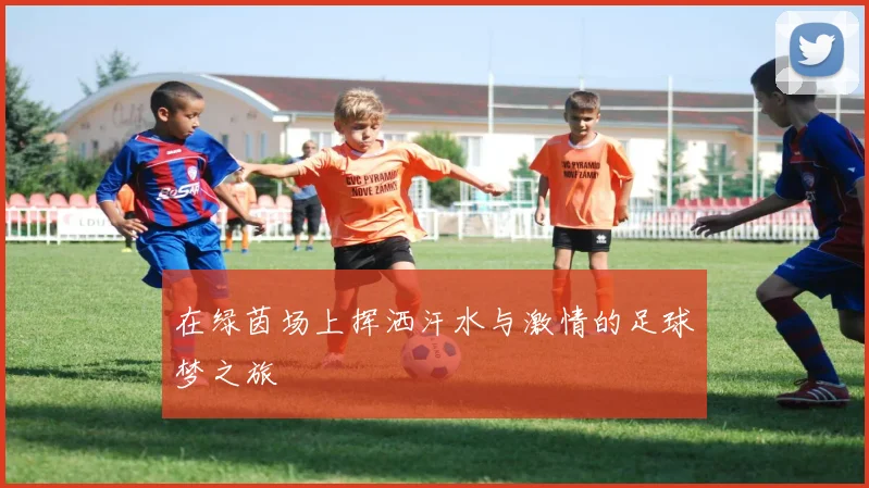 在绿茵场上挥洒汗水与激情的足球梦之旅