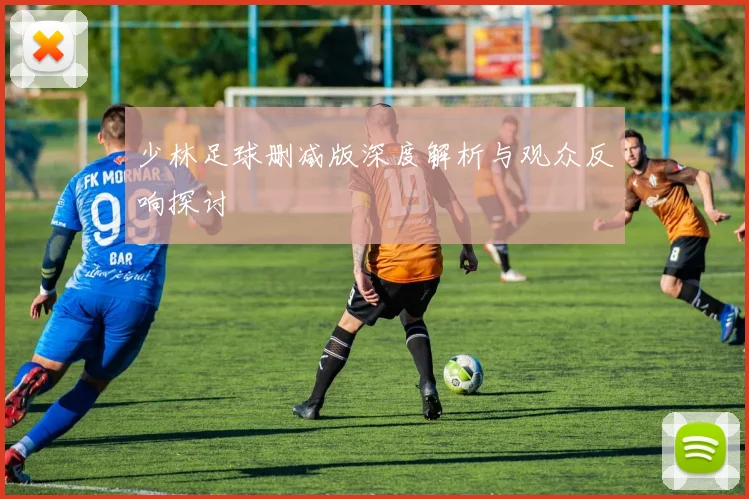 少林足球删减版深度解析与观众反响探讨