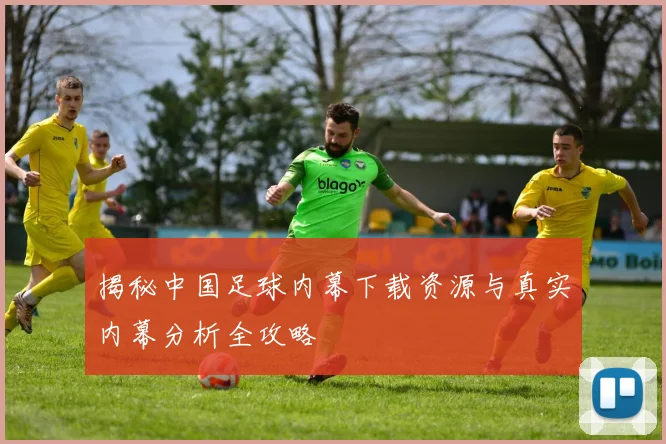 揭秘中国足球内幕下载资源与真实内幕分析全攻略