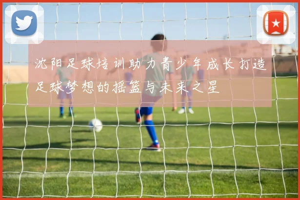 沈阳足球培训助力青少年成长打造足球梦想的摇篮与未来之星
