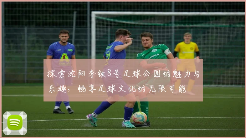 探索沈阳李铁8号足球公园的魅力与乐趣，畅享足球文化的无限可能